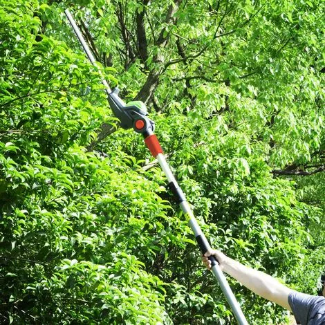 Taille Haies Sur Perche 20V Max - Constructor 5 Taille Haies Sur Perche 20V Max - Constructor – Image 5