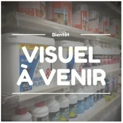 Balai Droi Tapi/Moq 29cm 46198 - ROULOR